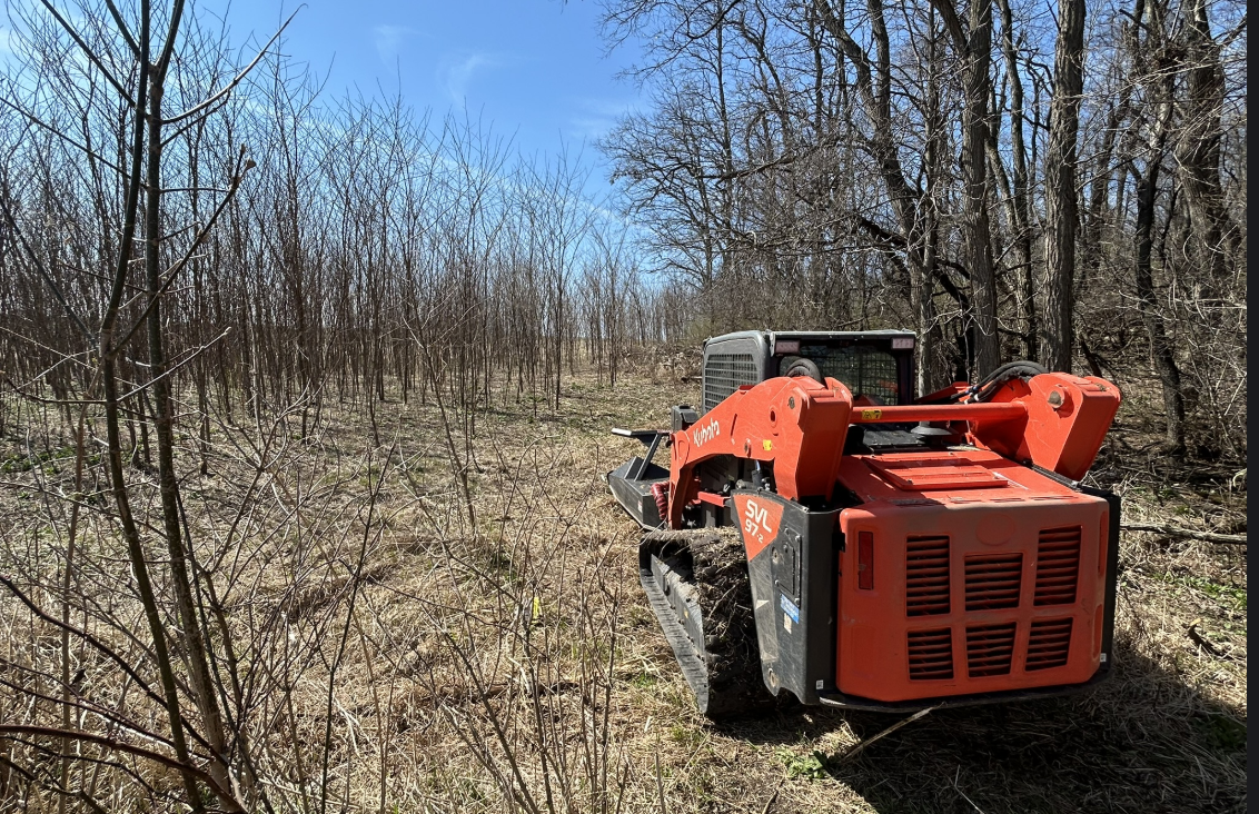 Murray Land & Forestry | Land Clearing & Forestry Mulching — Austin to ...