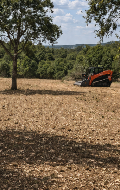 Murray Land & Forestry | Land Clearing & Forestry Mulching — Austin to ...